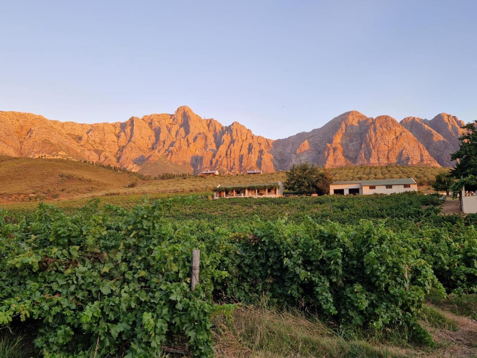 Vredehoek Guest Farm Breerivier Exterior photo
